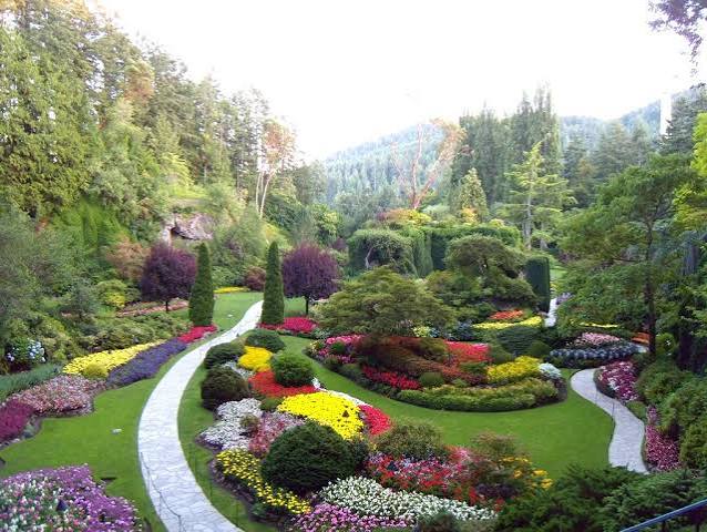 Garden 2
